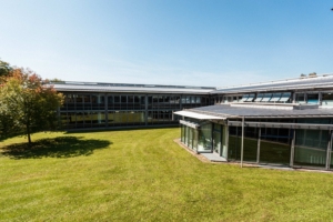 Innenhof des FvAG mit einem Teil des Gebäudes, der Aula, einer grünen Wiese und einem Baum.