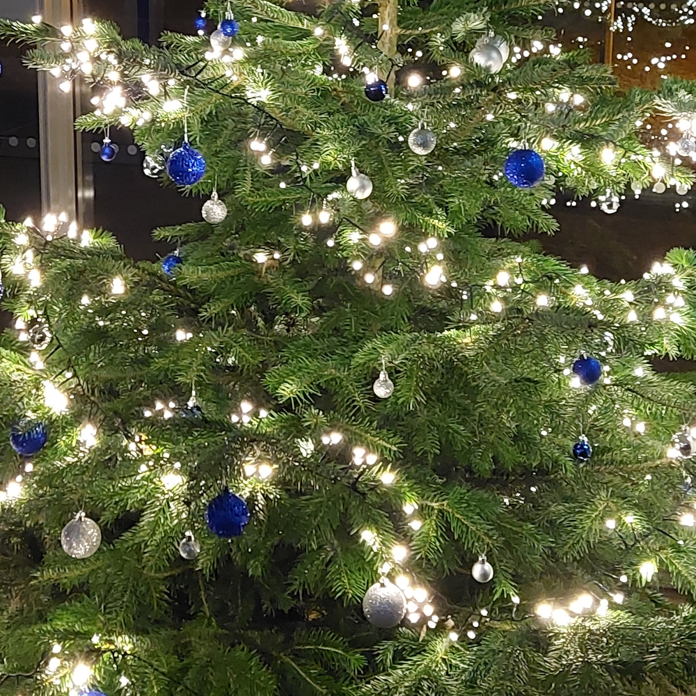 Abgebildet ist ein Tannenbaum, der beleuchtet ist und mit blau-silbernen Kugeln dekoriert wurde.
